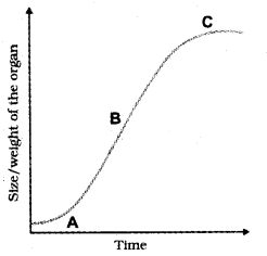 Plus One Botany Chapter Wise Questions and Answers Chapter 11 Plant Growth and Development 2M Q5