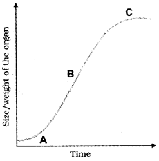 Plus One Botany Chapter Wise Questions and Answers Chapter 11 Plant Growth and Development 3M Q3