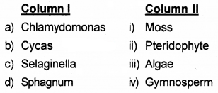 Plus One Botany Chapter Wise Questions and Answers Chapter 2 Plant Kingdom 2M Q18