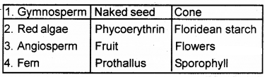 Plus One Botany Chapter Wise Questions and Answers Chapter 2 Plant Kingdom 2M Q21.1