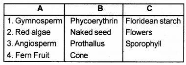 Plus One Botany Chapter Wise Questions and Answers Chapter 2 Plant Kingdom 2M Q21