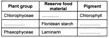 Plus One Botany Chapter Wise Questions and Answers Chapter 2 Plant Kingdom 2M Q22