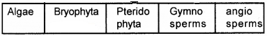 Plus One Botany Chapter Wise Questions and Answers Chapter 2 Plant Kingdom 2M Q30