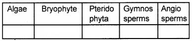 Plus One Botany Chapter Wise Questions and Answers Chapter 2 Plant Kingdom 2M Q31