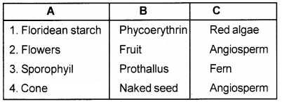 Plus One Botany Chapter Wise Questions and Answers Chapter 2 Plant Kingdom 2M Q6.1