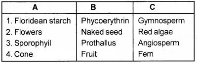 Plus One Botany Chapter Wise Questions and Answers Chapter 2 Plant Kingdom 2M Q6