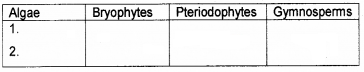 Plus One Botany Chapter Wise Questions and Answers Chapter 2 Plant Kingdom 2M Q8