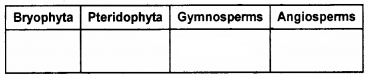 Plus One Botany Chapter Wise Questions and Answers Chapter 2 Plant Kingdom 2M Q9