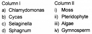 Plus One Botany Chapter Wise Questions and Answers Chapter 2 Plant Kingdom Textbook Questions Q2