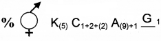 Plus One Botany Chapter Wise Questions and Answers Chapter 3 Morphology of Flowering Plants 1M Q12