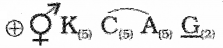 Plus One Botany Chapter Wise Questions and Answers Chapter 3 Morphology of Flowering Plants MCQ Q13