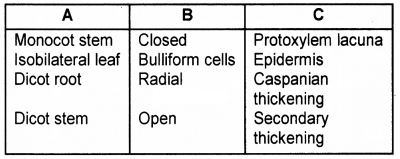 Plus One Botany Chapter Wise Questions and Answers Chapter 4 Anatomy of Flowering Plants 2M Q11.1