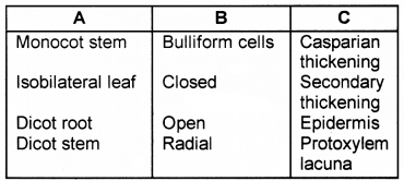 Plus One Botany Chapter Wise Questions and Answers Chapter 4 Anatomy of Flowering Plants 2M Q11