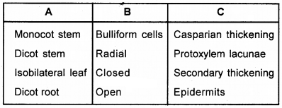 Plus One Botany Chapter Wise Questions and Answers Chapter 4 Anatomy of Flowering Plants 2M Q2