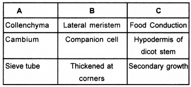 Plus One Botany Chapter Wise Questions and Answers Chapter 4 Anatomy of Flowering Plants 3M Q3