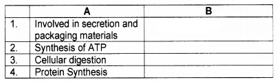 Plus One Botany Chapter Wise Questions and Answers Chapter 5 Cell The Unit of Life 2M Q12