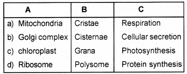 Plus One Botany Chapter Wise Questions and Answers Chapter 5 Cell The Unit of Life 2M Q29.1