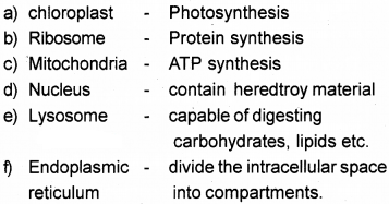 Plus One Botany Chapter Wise Questions and Answers Chapter 5 Cell The Unit of Life 3M Q6.1