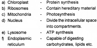 Plus One Botany Chapter Wise Questions and Answers Chapter 5 Cell The Unit of Life 3M Q6