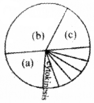 Plus One Botany Chapter Wise Questions and Answers Chapter 6 Cell Cycle and Cell Division 2M Q15