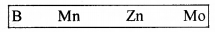 Plus One Botany Chapter Wise Questions and Answers Chapter 8 Mineral Nutrition 2M Q23