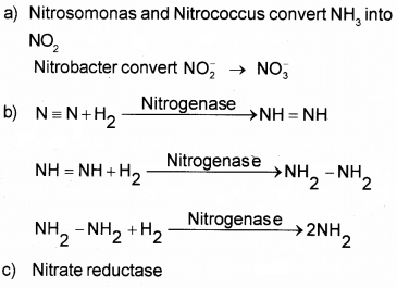 Plus One Botany Chapter Wise Questions and Answers Chapter 8 Mineral Nutrition 3M Q2