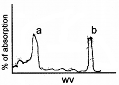 Plus One Botany Chapter Wise Questions and Answers Chapter 9 Photosynthesis in Higher Plants 2M Q2