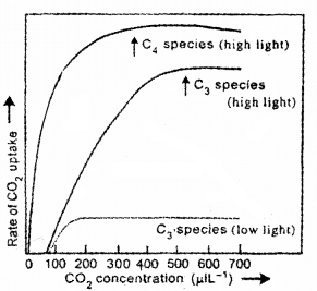 Plus One Botany Chapter Wise Questions and Answers Chapter 9 Photosynthesis in Higher Plants 2M Q6