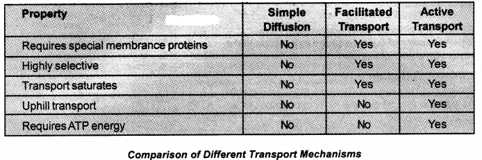 Plus One Botany Notes Chapter 7 Transport in Plants 3