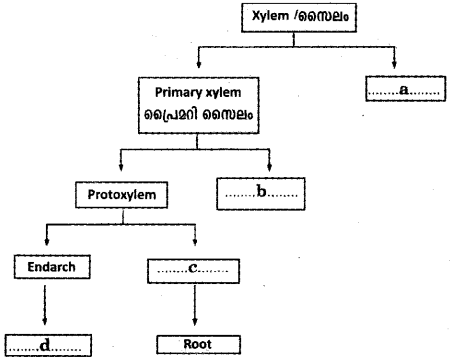 Plus One Botany Previous Year Question Paper March 2018, 1