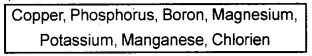 Plus One Botany Previous Year Question Paper March 2019, 5