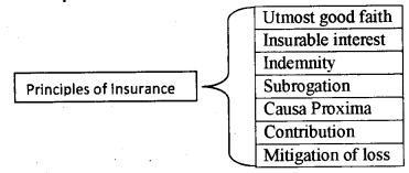 Plus One Business Studies Chapter Wise Previous Questions Chapter 4 Business Services 1