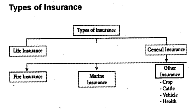 Plus One Business Studies Chapter Wise Previous Questions Chapter 4 Business Services 2