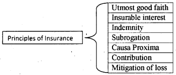 Plus One Business Studies Model Question Paper 1, 1