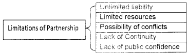 Plus One Business Studies Notes Chapter 2 Forms of Business Organisation 3