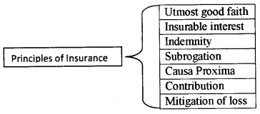 Plus One Business Studies Notes Chapter 4 Business Services 1