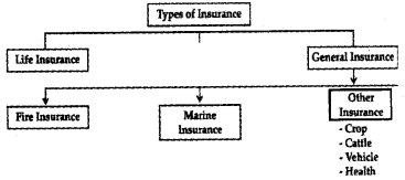 Plus One Business Studies Notes Chapter 4 Business Services 2