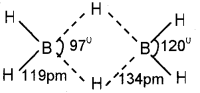 Plus One Chemistry Chapter Wise Previous Questions Chapter 11 The p-Block Elements 1