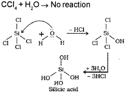 Plus One Chemistry Chapter Wise Previous Questions Chapter 11 The p-Block Elements 11