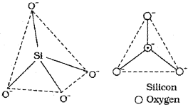 Plus One Chemistry Chapter Wise Previous Questions Chapter 11 The p-Block Elements 13