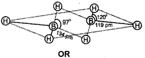 Plus One Chemistry Chapter Wise Previous Questions Chapter 11 The p-Block Elements 9