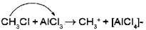 Plus One Chemistry Chapter Wise Previous Questions Chapter 13 Hydrocarbons 14