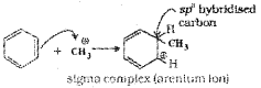 Plus One Chemistry Chapter Wise Previous Questions Chapter 13 Hydrocarbons 15