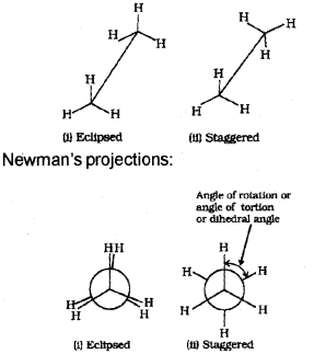 Plus One Chemistry Chapter Wise Previous Questions Chapter 13 Hydrocarbons 39