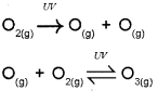 Plus One Chemistry Chapter Wise Previous Questions Chapter 14 Environmental Chemistry 1