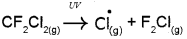 Plus One Chemistry Chapter Wise Previous Questions Chapter 14 Environmental Chemistry 2