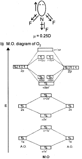 Plus One Chemistry Chapter Wise Previous Questions Chapter 4 Chemical Bonding and Molecular Structure 12