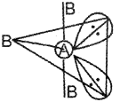 Plus One Chemistry Chapter Wise Previous Questions Chapter 4 Chemical Bonding and Molecular Structure 13