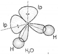 Plus One Chemistry Chapter Wise Previous Questions Chapter 4 Chemical Bonding and Molecular Structure 25