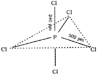 Plus One Chemistry Chapter Wise Previous Questions Chapter 4 Chemical Bonding and Molecular Structure 31